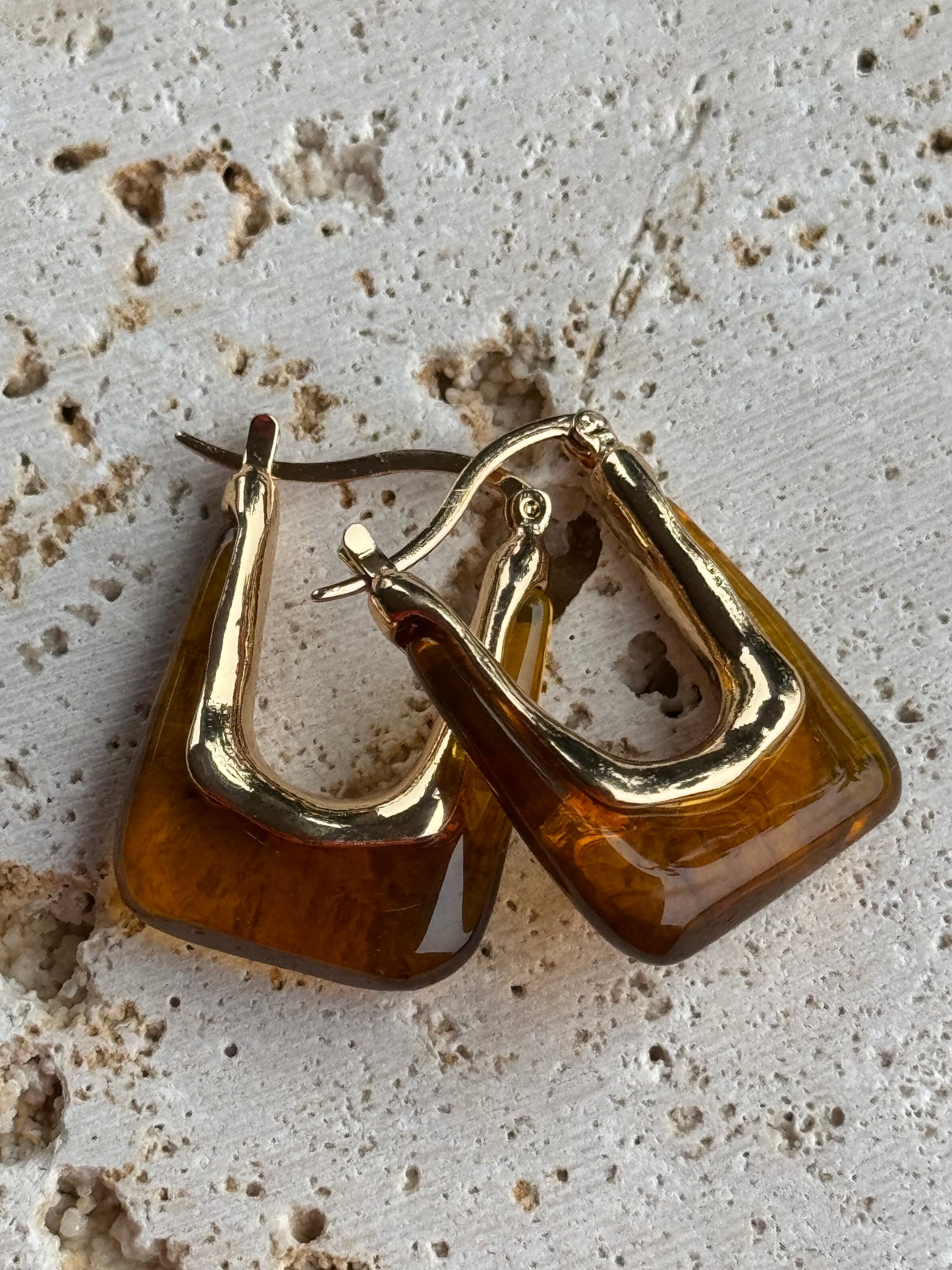 orecchini in acciaio inossidabile e resina Trendy- oro e marrone